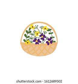 Vector wicker basket with flowers and plants . Flat drawing style. Purple, yellow, blue colors. Hand drawn. 