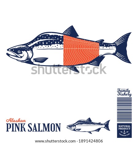 Vector wild Alaskan pink salmon fish illustration