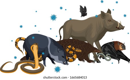 Vector Wild Animal With Coronavirus Infection: Pangolin, Bat, Pig, Snake