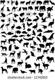 Vector Wild Animal Domestic Shapes Stock Vector (Royalty Free) 11742853 ...