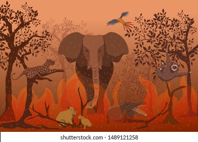 vector of wild animal in wildfire forest ,global warming concept