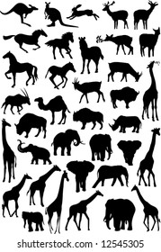 Vector wild animals silhouettes