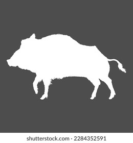 Vector Wild Boar White Silhouette Illustration.