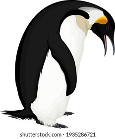 vector wild Emperor penguin illustration