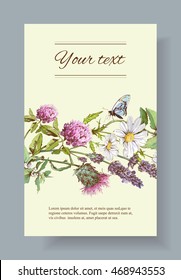 Vector wild flowers and herbs banner. Design for herbal tea, natural cosmetics, honey, health care products, homeopathy, aromatherapy. With place for text