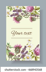 Vector wild flowers and herbs banner. Design for herbal tea, natural cosmetics, honey, health care products, homeopathy, aromatherapy. With place for text