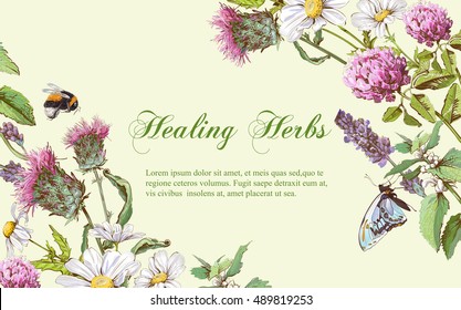 Vector wild flowers and herbs horizontal banner. Design for herbal tea, natural cosmetics, honey, health care products, homeopathy, aromatherapy. With place for text