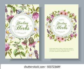 Vector wild flowers and herbs vertical banner. Design for herbal tea, natural cosmetics, honey, health care products, homeopathy, aromatherapy. With place for text