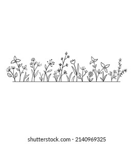Vector wild herbs and flowers doodle illustration. Field with grass , plants and wildflowers isolated on white background