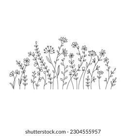 Vector wild herbs and flowers doodle illustration. Field with grass and wildflowers isolated on white background