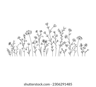 Vector wild herbs and flowers doodle illustration. Field with grass and wildflowers isolated on white background