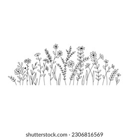 Ilustración del doodle de flores y hierbas silvestres vectoriales. Campo con hierba y flores silvestres aisladas en un fondo blanco