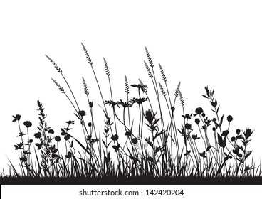 vector wild herbs and flowers silhouette background