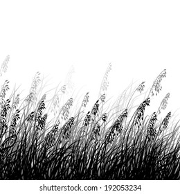 Vector wild herbs, oat and flowers silhouette background. All elements separate