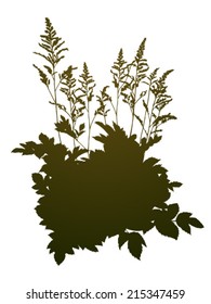 vector wild herbs silhouette background