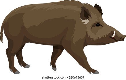 vector wild hog boar mascot