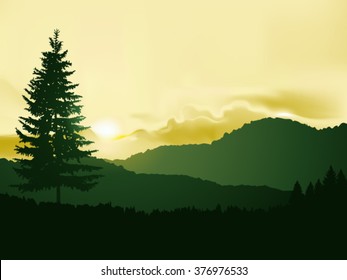 Vector wild  landscape. Silhouette of coniferous trees on the background of mountains and colorful sky. Sunset. Yellow ans green tones. Eps 10.
