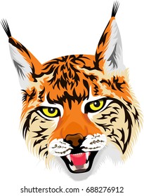 vector wild lynx head