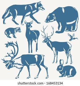 vectores animales salvajes del norte y aves en fondo blanco