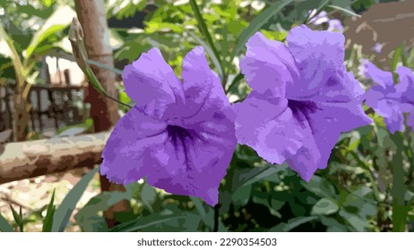 vector, wild purple Kencana flower or Pletekan is a blue or purple bush plant that has brown dry fruit that can explode when exposed to water.