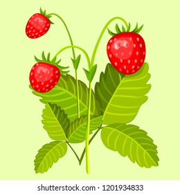 vector wild strawberry illustration