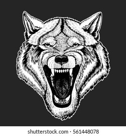 Vector wild wolf for tattoo, t-shirt, sport logo