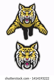 vector of wildcats mascot attacking in american sport mascot style
