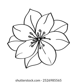 Ícone de flores silvestres vetoriais, imagem de ilustração de linhas finas botânicas, flores de arte de linhas botânicas, desenho minimalista de contorno de flor.