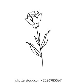 Ícone de flores silvestres vetoriais, imagem de ilustração de linhas finas botânicas, flores de arte de linhas botânicas, desenho minimalista de contorno de flor.