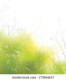 Vector wildflowers nature background.