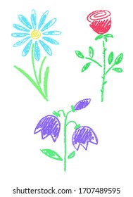 vector wildflowers rose daisy bellflower