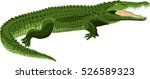 vector Wildlife crocodile
