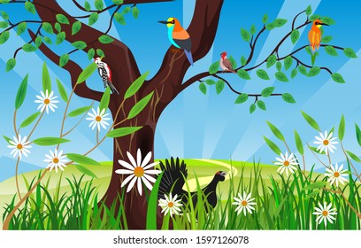 Vector wildlife scene, capercaillie and kingfisher in the forest, on the tree branch, forest trees on background.