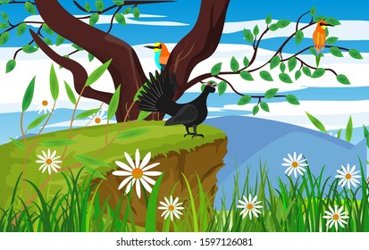 Vector wildlife scene, capercaillie and kingfisher in the forest, on the tree branch, forest trees on background.