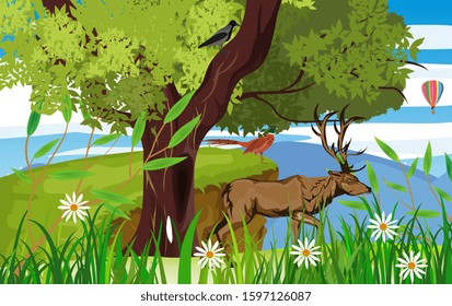 Vector wildlife scene, deer and pheasant on the tree branch, forest trees on background.