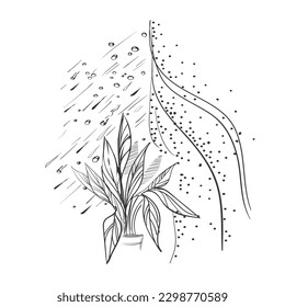 Vector window with houseplants hand drawn sketch. Cute window with curtains and plants colouring page