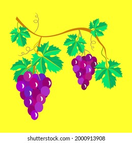 Vector - wine berries twig pattern.
Watercolor fruits image, template.