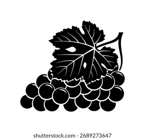 Vector de uva de vino aislado sobre fondo blanco