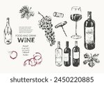 Vector wine illustration. Wine bottle, glass, wine stains, cork, corkscrew, grapes, vine leaf. For food and drink background, wine list, cafe menu.