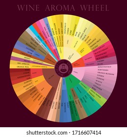 Vector wine tasting aroma wheel