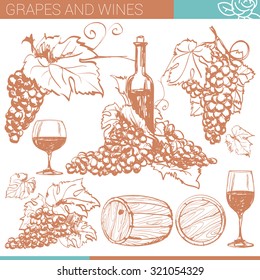 Vector winery design elements set.