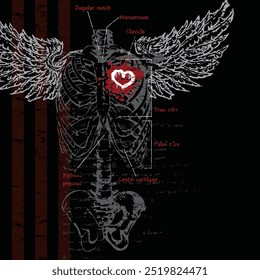 Vector winged skeleton print. Artwork features a skeleton torso with gray wings and a sketched heart on a black background. Apparel graphic artwork. Hand drawn illustration.