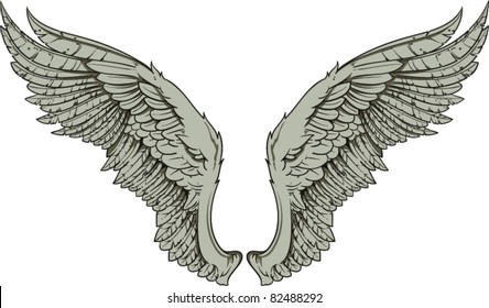 Vector wings