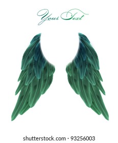 vector wings
