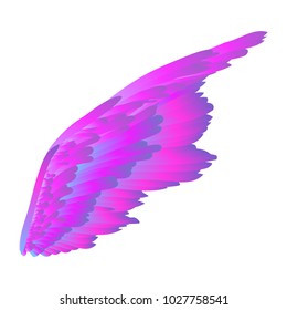 Vector wings. Angel wings. Wings of a bird. Gradient. Wings of an exotic bird. Multicolored feathers.