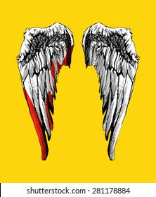 Vector wings. Hand drawn. Vector background