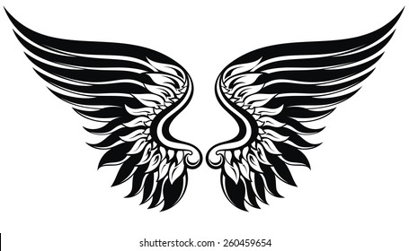 Vector wings illustration