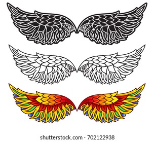 Vector wings illustration