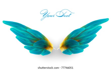 vector wings illustration