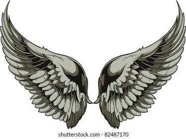 Vector wings illustration